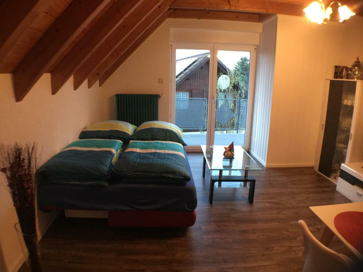 רינגסהיים Ferienwohnung Alte B3 מראה חיצוני תמונה