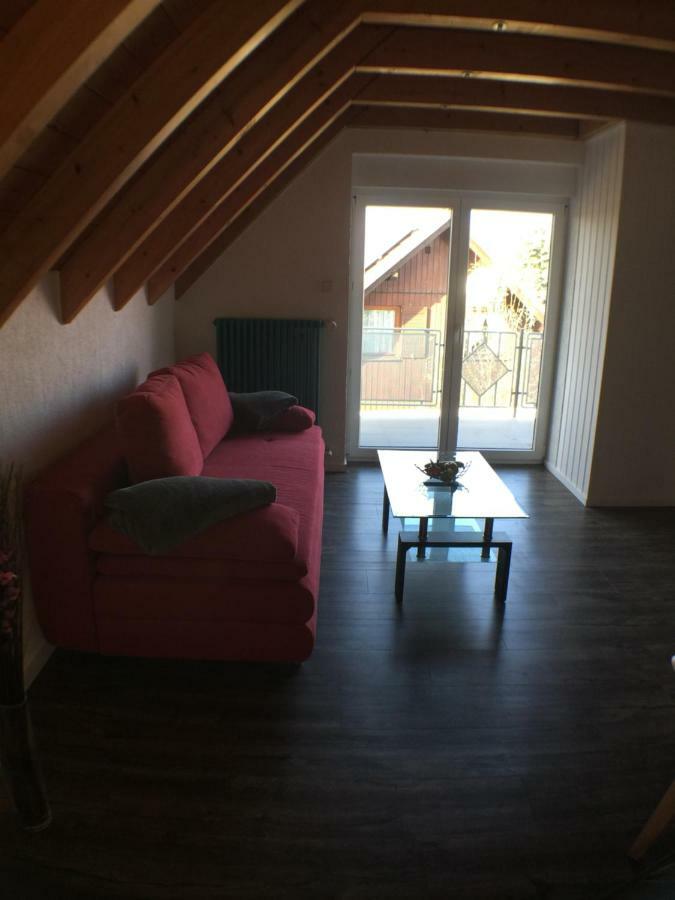 רינגסהיים Ferienwohnung Alte B3 מראה חיצוני תמונה